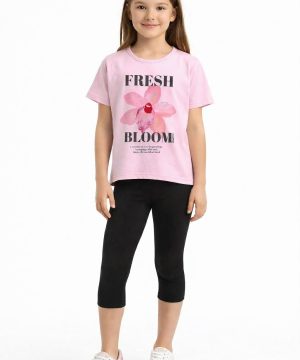 &Sigma;&epsilon;&tau;