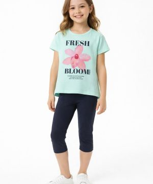 &Sigma;&epsilon;&tau;